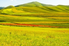 Die grünen Monti Sibillini in den Marken