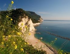 Die schönen weißen Klippen und der Strand von Luri am Monte Conero