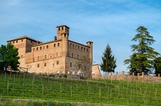 Die Burg von Grinzane Cavour  - Ein schöner Ort für eine Weinverkostung im Piemont