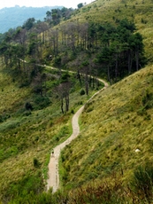 Manche Teile der Wanderstrecken führen uns über befestigte Wege, wiederum andere querfeldein durch das Gelände